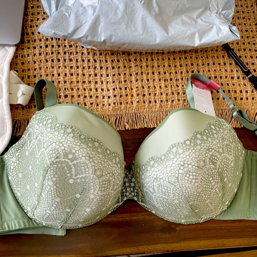 NWT Cacique 40F